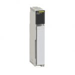 SE DIO drop interfejs Modicon Quantum  115/230 V AC  1 redundantni port