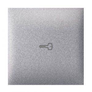 EXPERIENCE Taster  2M sa oznakom ključa  silver